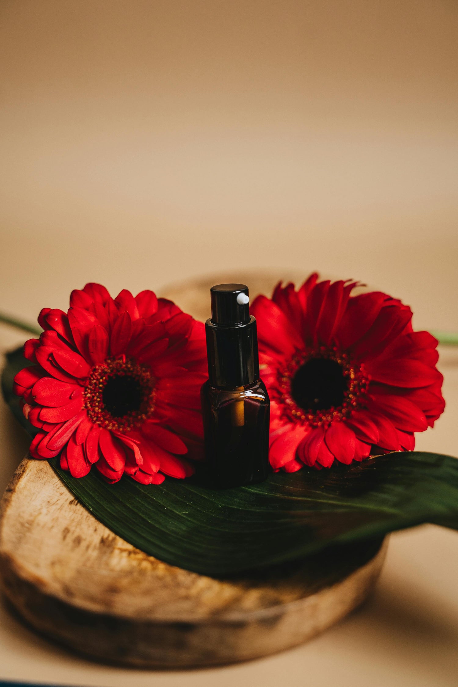 Our Commitment to Clean Beauty and Sustainability at Verdelle Skin